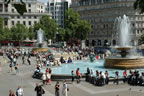 It is illegal to feed the pigeons in Trafalgar Square. 