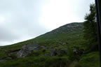 The Irish mountain side, green from all the wonderful rain.